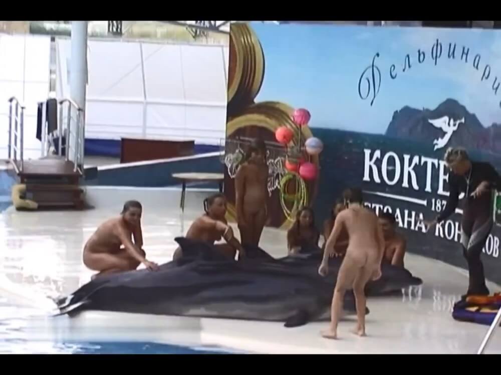 Relaxing at the dolphinarium - It values inner balance and peace of mind